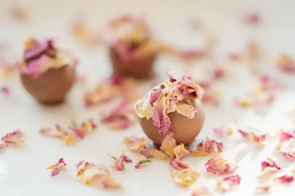 كازينو جينيريشن في آي بي تطبيق أندرويد/آي أو إس